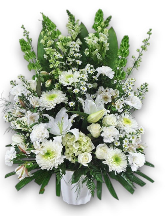 Pure and Elegant Urn