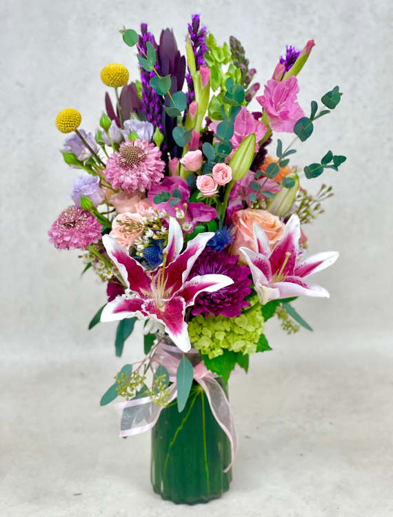 Valentine Designer Choice Standard