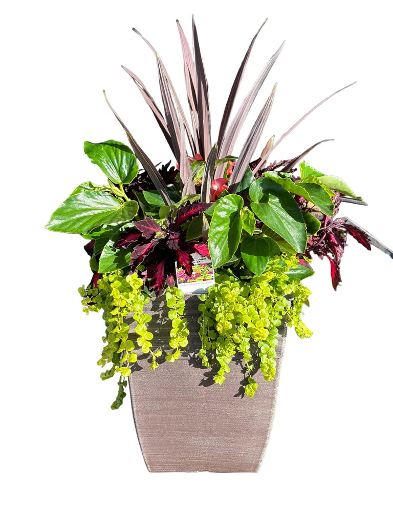 Patio Pot w/Mixed Bloomers