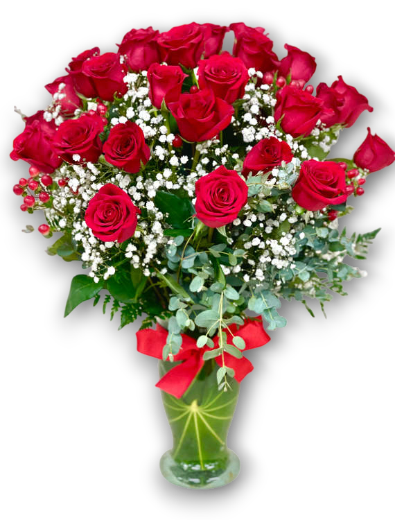 Long Stem Roses 3 Dozen Red