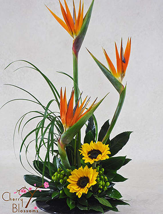 Tropical Birds Bouquet
