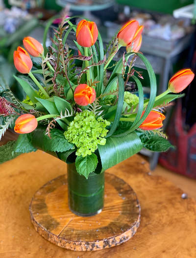 Tulip Delights