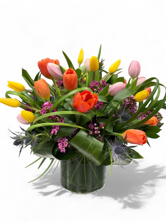 Tulip Fest