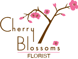 Cherry Blossoms Celebrations