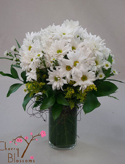 Daisy Vase of Daisies