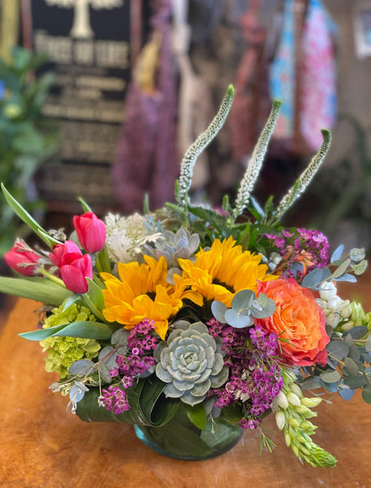 Succulent Spring