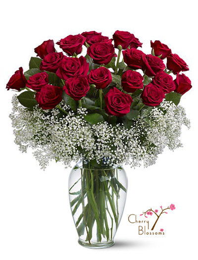 Long Stem Roses 2 Dozen | Red / Pink / White