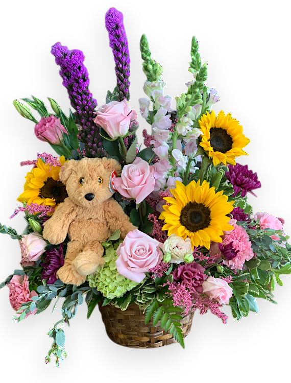 Baby Bear and Basket